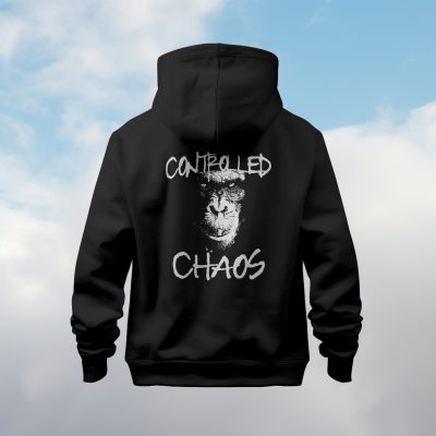 Controlled Chaos - Image 2